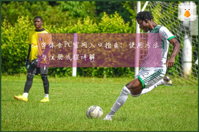 华体会PC官网入口指南：使用方法与注册流程详解